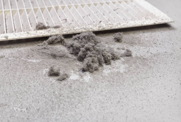 Best Professional Duct Cleaning Services  in Bayou Vista, LA
