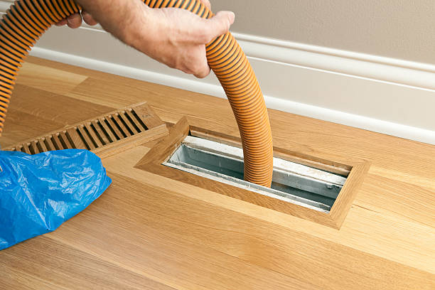 Best Local Air Duct Cleaning Services  in Bayou Vista, LA