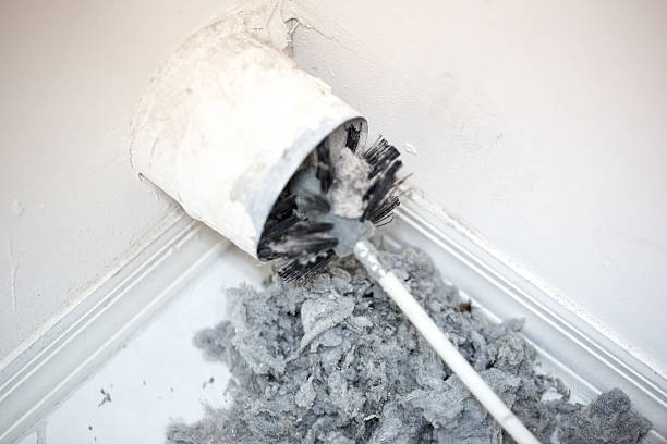 Best Best Air Duct Cleaning Company  in Bayou Vista, LA